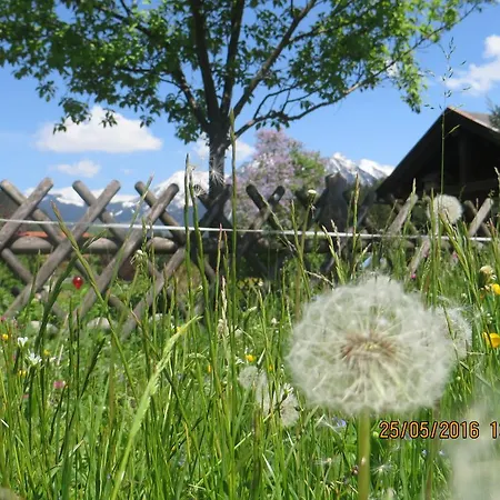 Landhaus Alt *